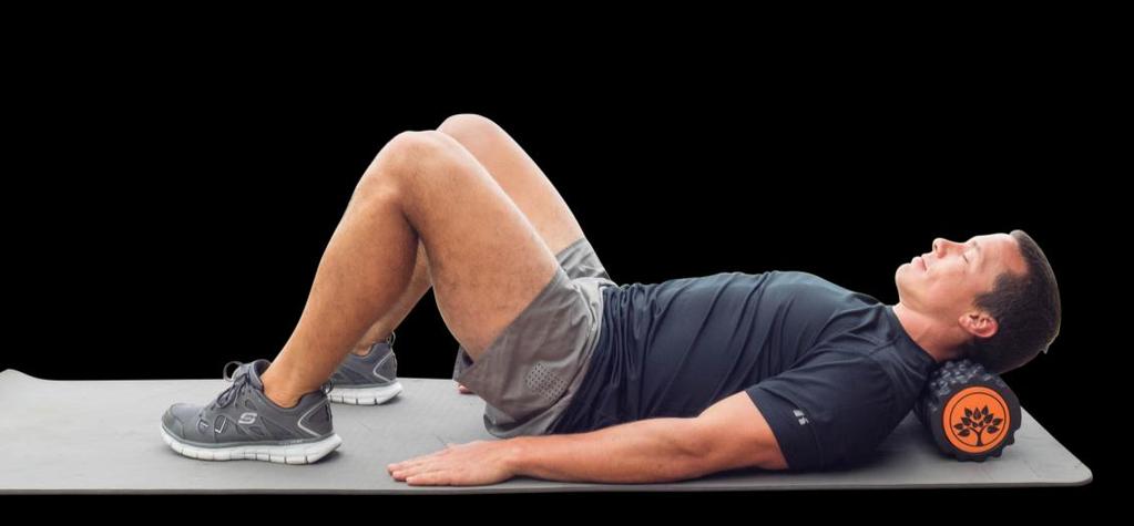NECK Lie on your back with the roller under your neck.