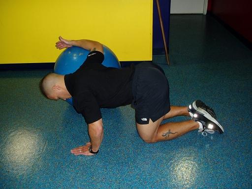 Pectoralis Major With the forearm on the ball, keep the shoulders parallel to the ground as you allow the arm to be stretched back by dropping the body forward.