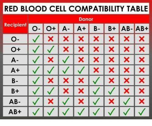 BLOOD TYPE AND CROSS A- Antibody B- Antibody Positive