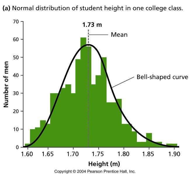 Bell shaped curve