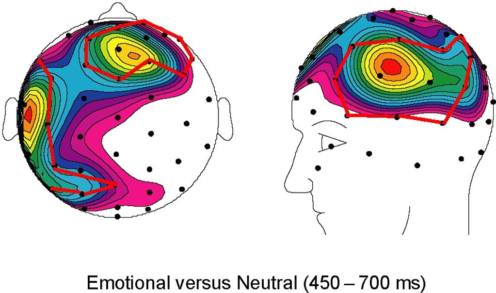 50 D.G. Dillon et al. / Brain and Cognition 62 (2006) 43 57 Fig. 3. F-maps displaying F-values generated from repeated-measures ANOVAs on mean amplitude data. Only F-values greater than or equal to 4.