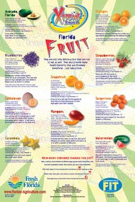 Xtreme Cuisine Vegetable and Fruit Posters