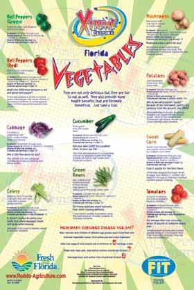 20 top Florida vegetable and fruit commodities are