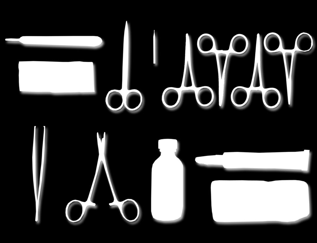 Recommended Surgical Tools A. Scalpel handle B. Scalpel blade (#15) C. Fine scissors D. Burr tool E. Fine burr (FST #19007-09 or equivalent) F. 4x Hemostats (curved) G. Toothed forceps H.