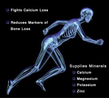 Research shows a clear link between alkaline water and bone health. When your body s ph balance becomes acidic, your body will adjust it by taking calcium from your bones.