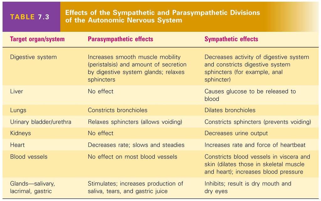 Effects of the Sympathetic and