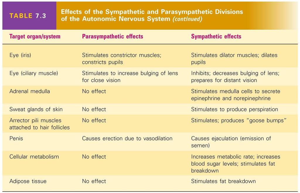 Effects of the Sympathetic and