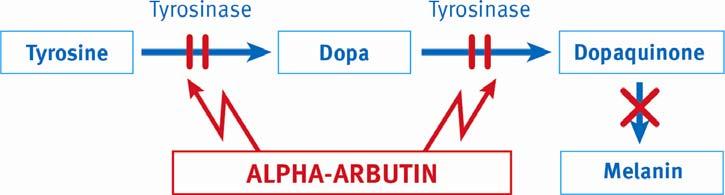 Impressive tyrosinase inhibition In vitro tests show that ALPHA-ARBUTIN exhibits impressive tyrosinase inhibition Very low IC 50 values = 1.