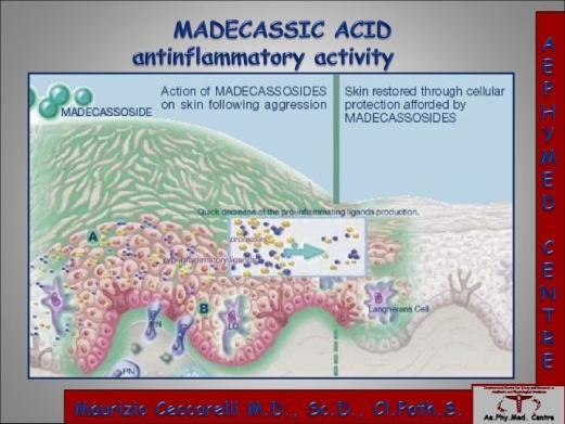 Madecassic acid that reduces inflammation.
