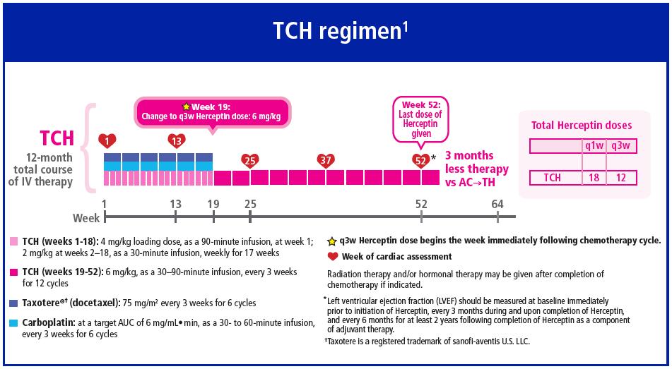 Herceptin approved as part of 2 additional adjuvant regimens based on BCIRG 006 1 TCH regimen offers earlier initiation and shorter duration than AC TH 1 The TCH regimen enables immediate initiation