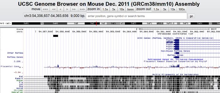 Screen shots of UCSC genome browser21 (UCSC Genome Browser on Mouse Dec 2011 (GRCm38/mm10)) show LEF binding