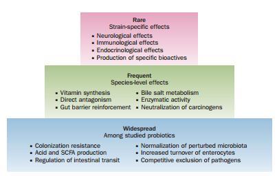 Moving Away from Strain-Specific Probiotics Over the years, the concept of strain-specific effects of probiotics has been considered unquestionable.