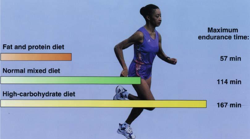 Nutrition and Fitness - 8 Diet and Endurance Most muscle activity using our skeletal muscles uses glycogen stores, if available, for the first 20 minutes or so of activity.