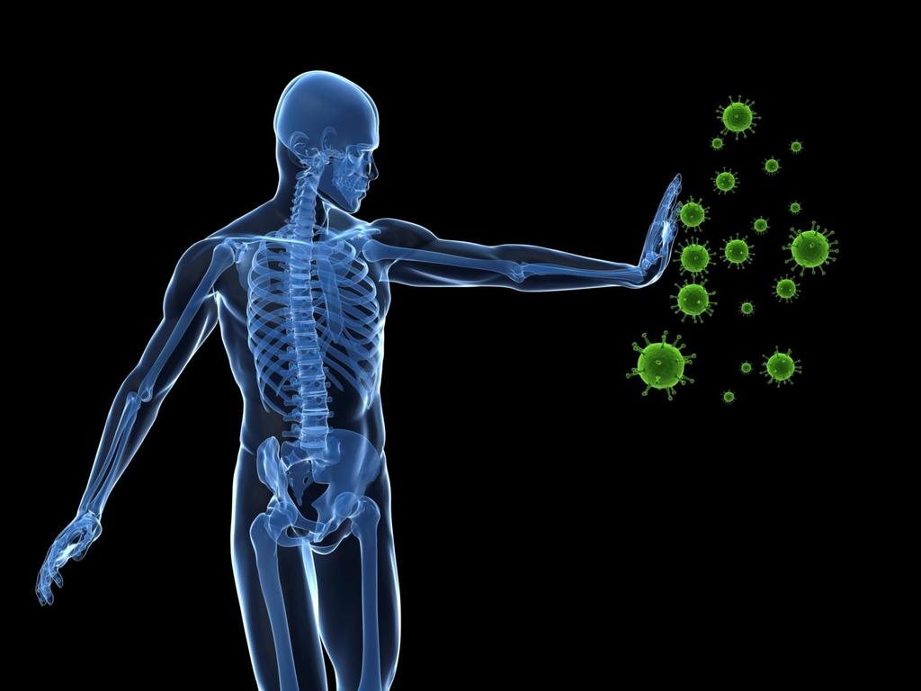 Immune and Lymphatic System http://www.bbc.co.