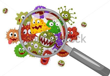 Function of the Immune System The immune system defends the body against pathogens every