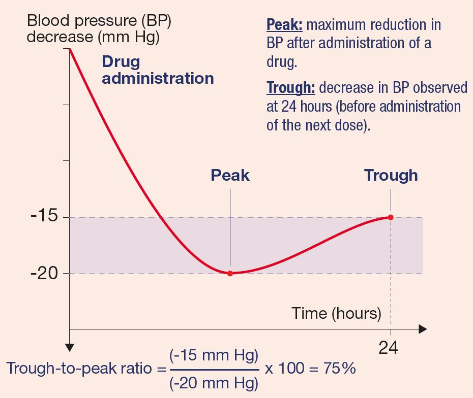 Two drugs providing full 24-hour blood pressure control