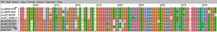 b. On the Genotype Determination and Recombination Detection landing page, select HCV from the Select Species drop-down list. c. Download a sample HCV sequence file from: http://tinyurl.com/q6ystk4 d.