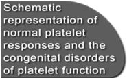 Syndrome GP IIb/III a Fibrinogen Afibrinogenemia A representation of normal platelet responses and the congenital disorders of platelet function