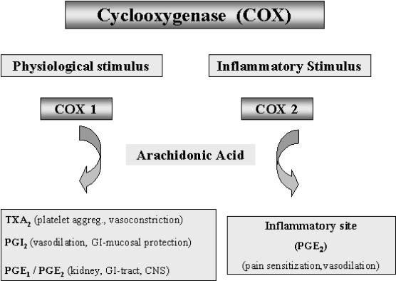 management beyond COX-2 inhibitors.