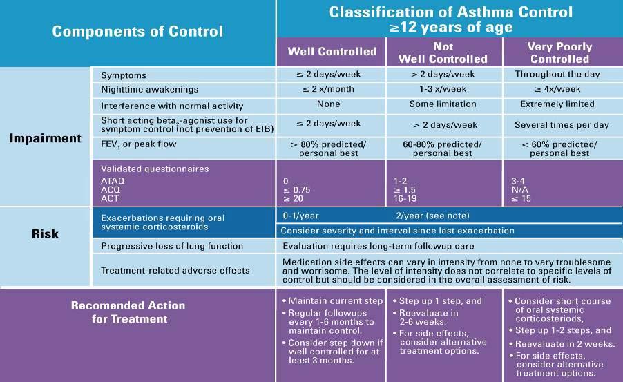 Assessing Asthma Control and Adjusting