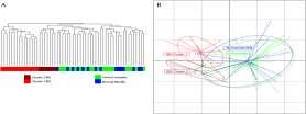 illness? Global and Deep Molecular Analysis of Microbiota in IBS Rajilic-Stojanovic M.