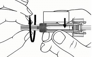 Hold the syringe vertically with the plunger uppermost and tap the side of the syringe against your finger to allow the air bubble to rise. 9.