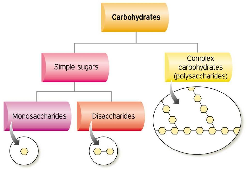 Overview of Carbohydrates can be simple sugars or complex