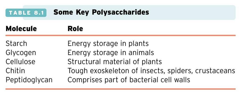 Some Key Polysaccharides Polysaccharides that contain repeating units of glucose (glucose polymers) are important