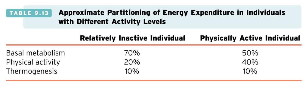Energy Allocation in People with Different Activity Levels