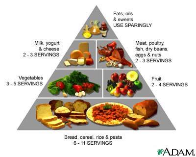 USDA s Original Pyramid The US Department of Agriculture in 1992 illustrates the daily recommended amounts of each of the five basic food groups with the foods