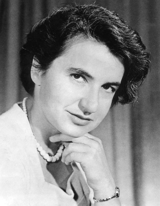 Rosalind Franklin, pioneer in DNA structure Key experiment were being performed in the early 1950s by X-ray crystallographers at King s College in London. Dr.