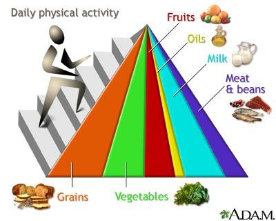 MyPyramid An association website helps an individual choose the foods in appropriate amounts for