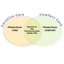 2013 Integration of Palliative Care: Key Elements IMAGE: 2013.GIF Even when care is focused on cure, it should also give comfort.
