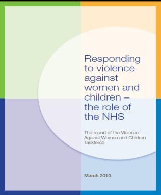 translation into policy cited in Department of Health Violence Against Women and Children taskforce report as an