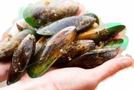 GREEN LIPPED MUSSEL Mobility, Arthritis Relief Natural Life Green Lipped Mussel contains marine lipid extract