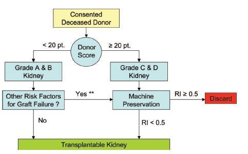 MACHINE PERFUSION FOR OLD KIDNEYS? Nyberg SL et al.