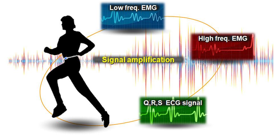 8. ECG signal extraction is illustrated in Fig. 9. First, signal in ECG frequency range is extracted by bandpass filter (1-50 Hz).