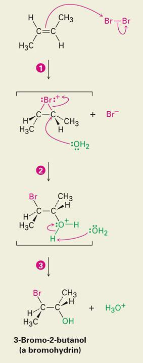 11 Mechanism of Formation of a Bromohydrin Br 2 forms bromonium ion, then