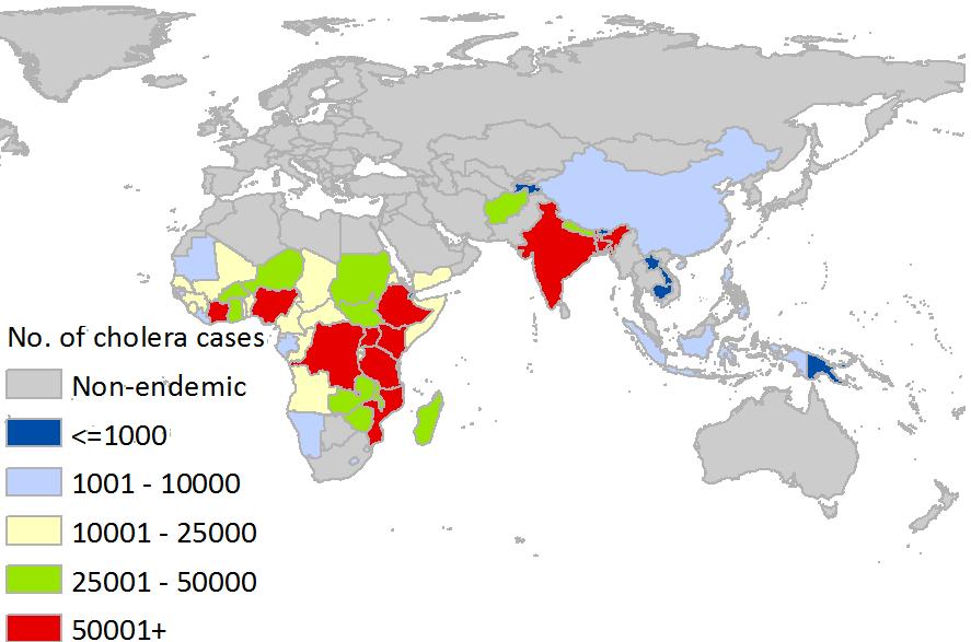 Vibrio cholerae in Bangladesh Ali et al.
