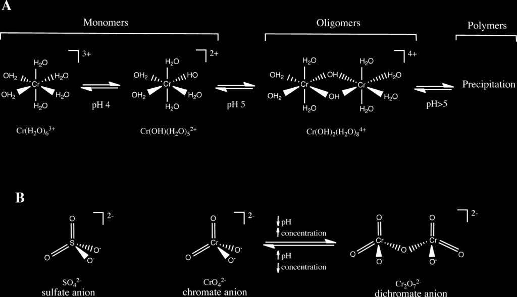 Figure 2. Aqueous species of Cr(III) and Cr(VI). (A) Hydrolysis and polymerization of hexaaquachromium(iii). Transition ph values are approximate. (B) Structures of sulfate, chromate, and dichromate.