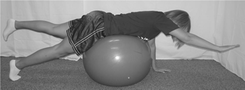 Stability ball $7-30 Good for balance, core, postural muscles May pose