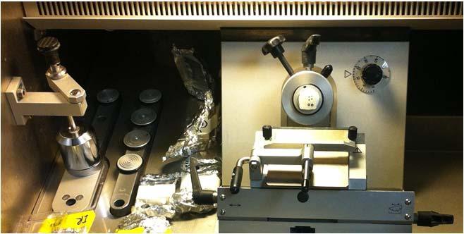 Cryosectioning onto Indium Tin xide (IT) coated glass slides and scanning digital