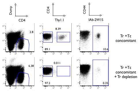 SUPPLEMENTAL FIGURE 3-2. Tregs concomitantly transferred with conventional T cells preserve the diversity of conventional CD4 T cell foreign Ag-reactivity during LIP.