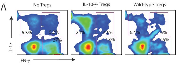 FIGURE 2-9. IL-10-deficient Tregs are impaired in their ability to suppress effector CD4 T cells in the colon.