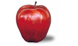 apple 8