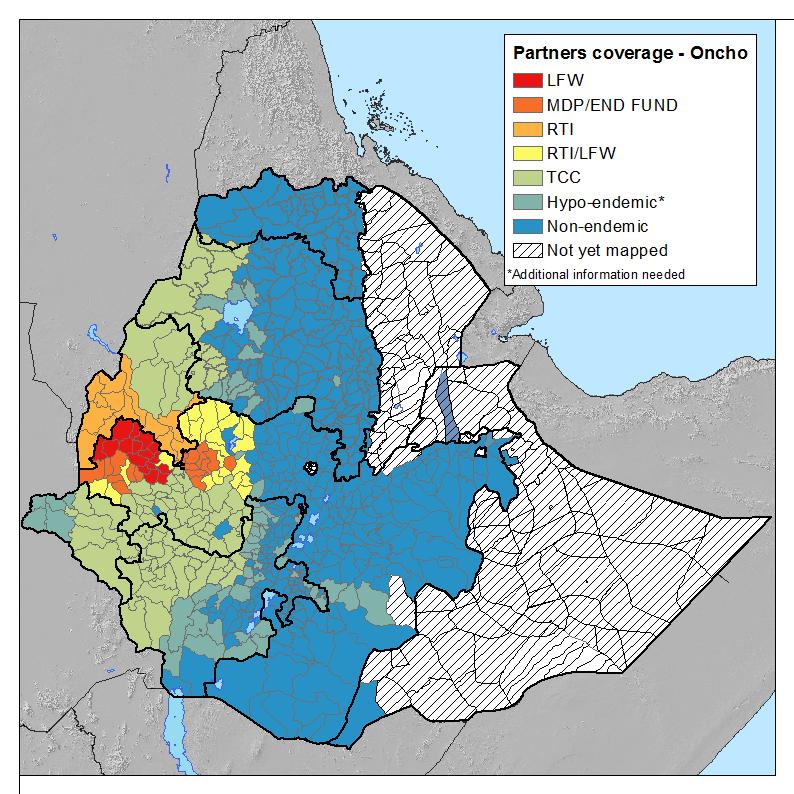 The main partners that support the onchocerciasis elimination programme in Ethiopia are The Carter Center (TCC), Research Triangle Institute (RTI) and Light for the World (LTW).