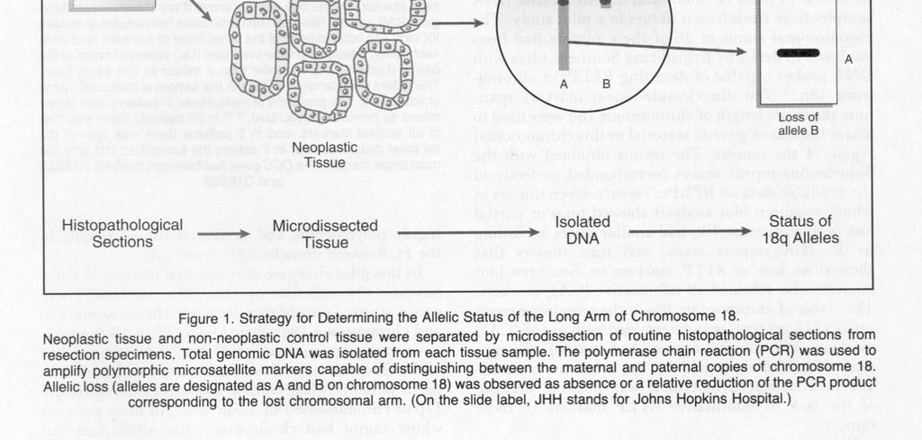 NEJM, 1994 Colorectal Cancer Predictors: Microsatellite Instability (MSI)