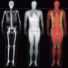 DENSITOMETRY The term densitometry refers to general procedures estimating - body composition - different tissue