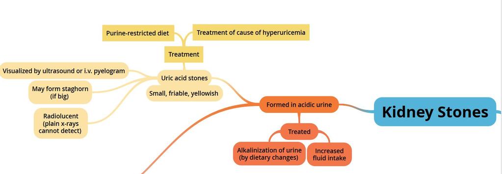 Uric acid stones Treatment: Treatment of cause of hyperuricemia.