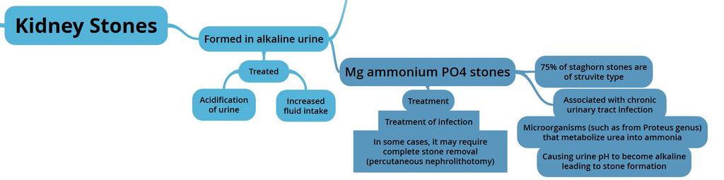 Mg ammonium PO 4 stones Treatment: Treatment of infection Urine acidification Increased fluid intake